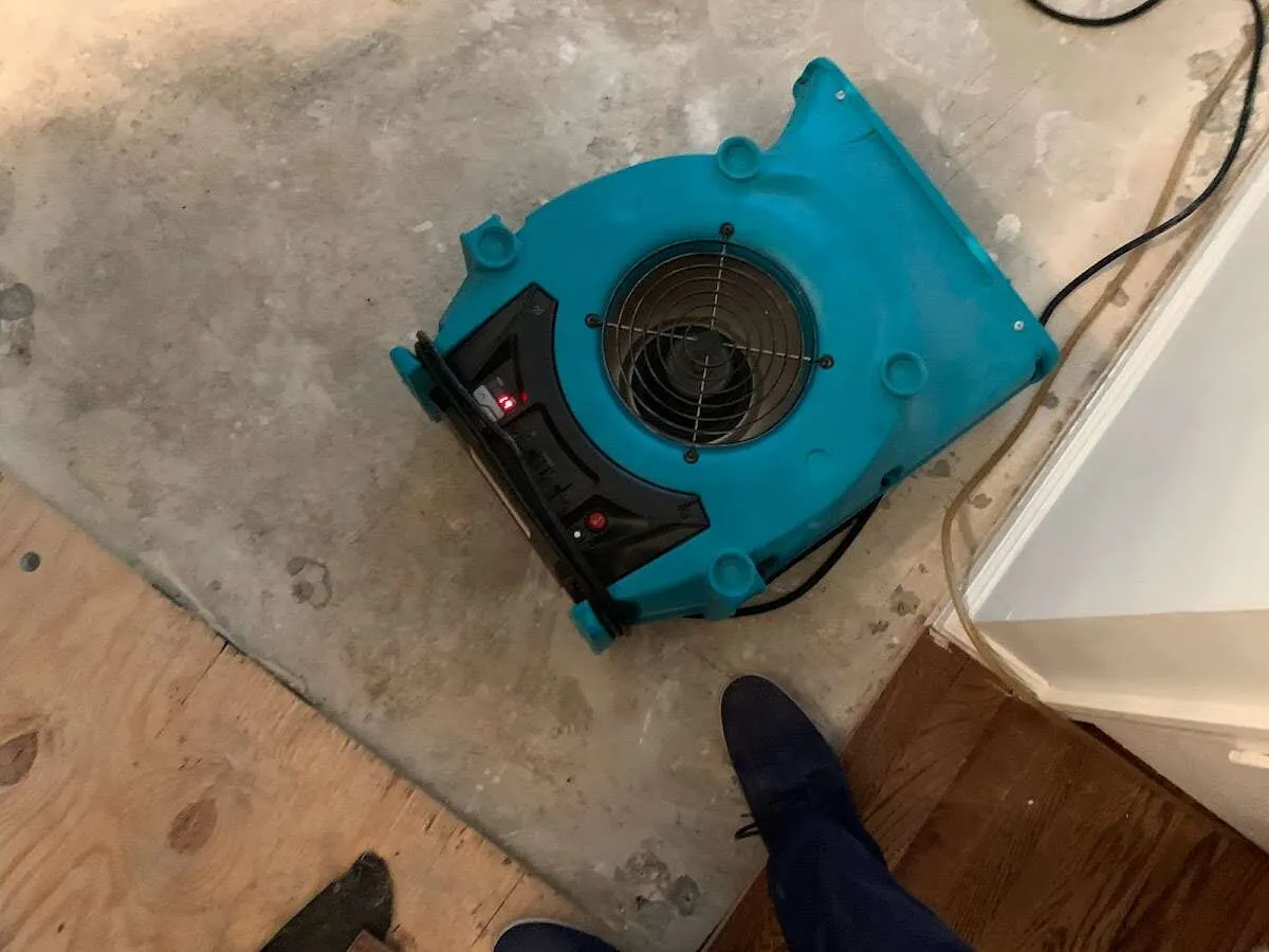 Air mover drying subfloor during Leak Detection & Repair in Spring